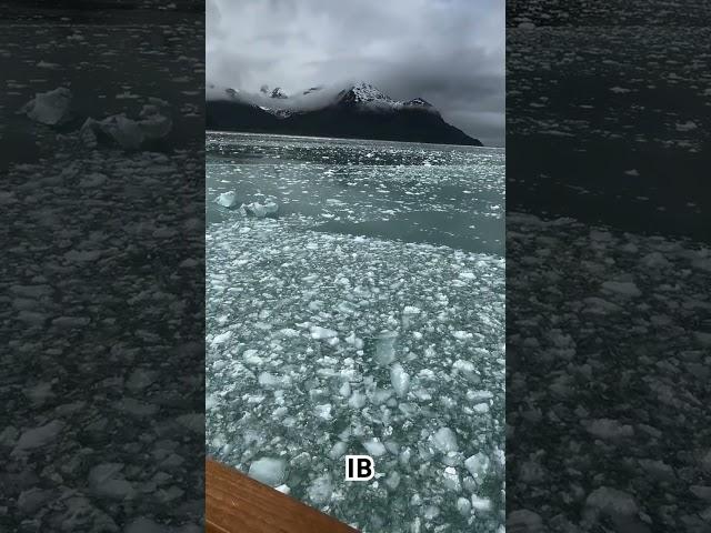 USA Alaska ️️ #usa #america #alaska #reels #shorts #day