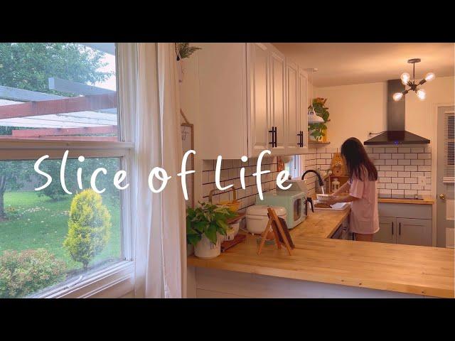 Slice of life | pick apple from my backyard, bake oat bread & Journal