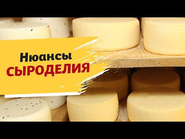 Знать рецепт сыра недостаточно. Важная теория сыроделия