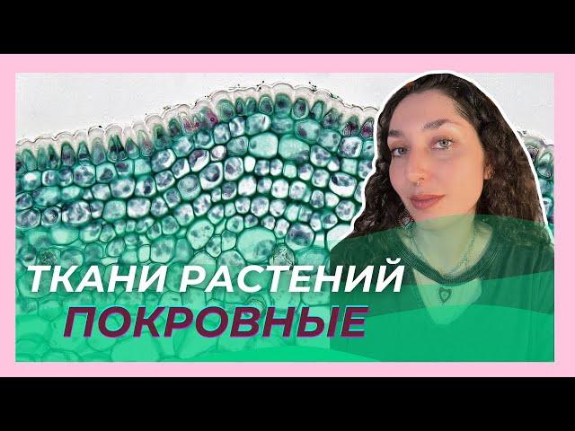 Ткани Растений — Покровная ткань. ЦТ/ЦЭ/устный экз