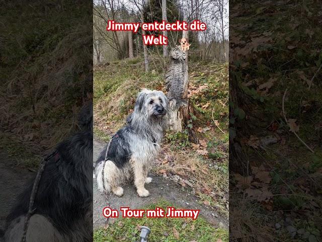 Jimmy entdeckt die Welt ON Tour mit Jimmy folgen sie uns um nichts zu verpassen 