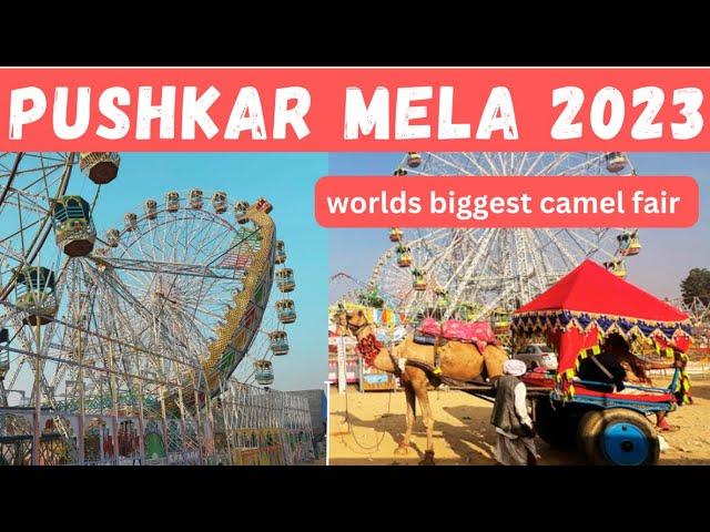 PUSHKAR MELA 2023, BIGGEST CAMEL FAIR IN WORLD @Travelwithbonnie#pushkarmela2023