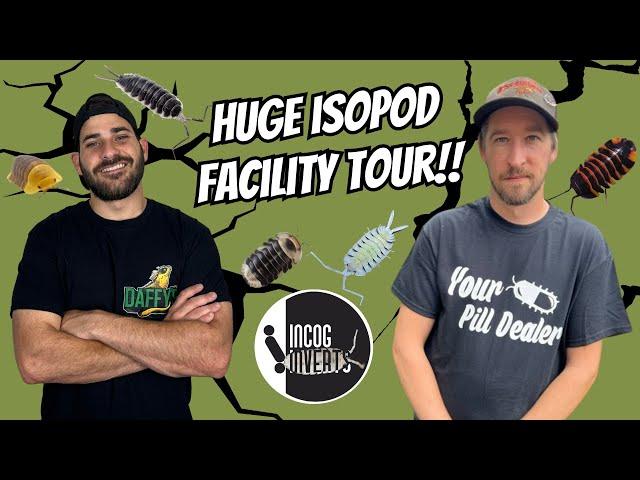 Thousands Of RARE ISOPODS At Incredible Isopod Facility!