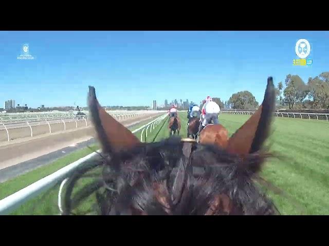 Director's Cut of the 2024 Lexus Melbourne Cup