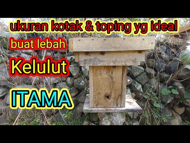 ukuran kotak lebah kelulut itama yg ideal . #kelulut #stinglessbee #lebah