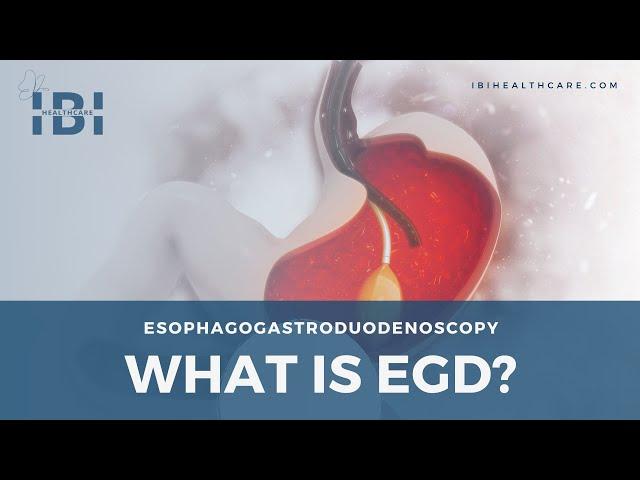 Animation What Is an EGD Procedure?