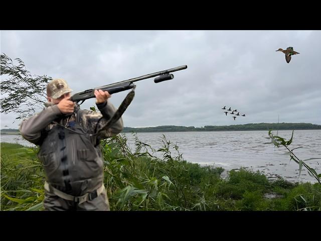 North Wind Brings Huge Flocks of Ducks // We Shot Our Limit! // Duck Hunt 2024