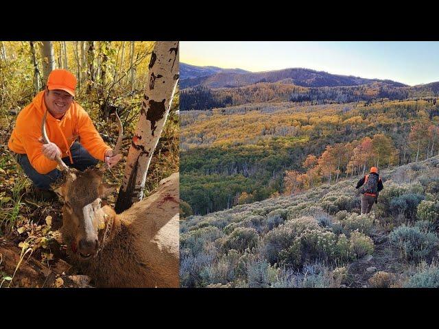 Utah Spike Elk Hunt 2023