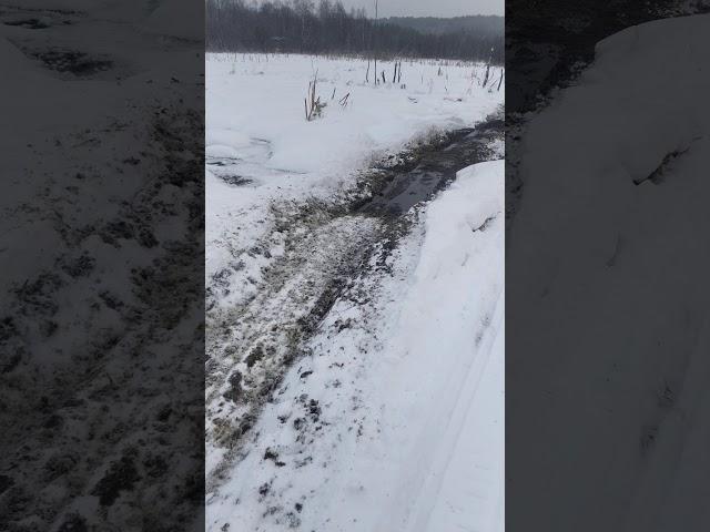 на снегоходе через болотинку