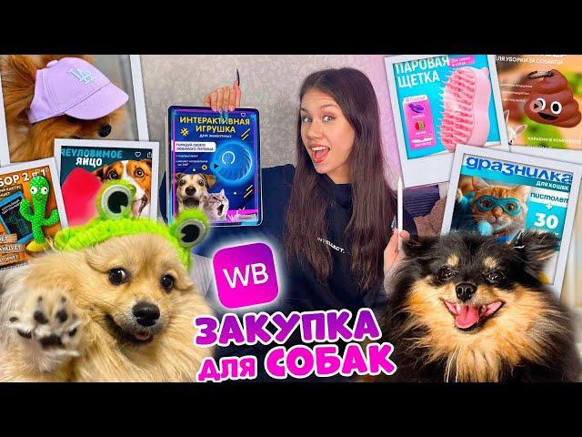 ЗАКУПКА на WILDBERRIES  ИГРУШКИ для СОБАК