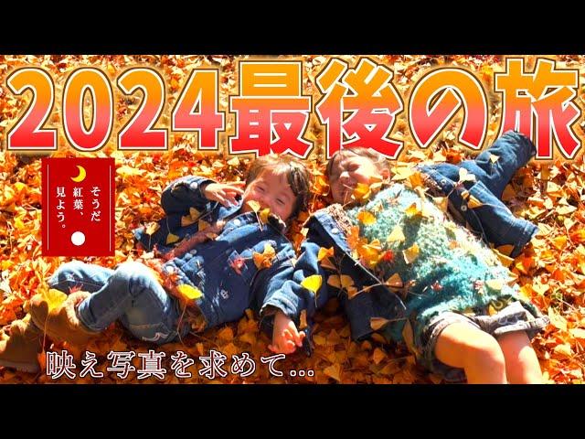 【願い叶う】ノエルがどうしても行きたかった紅葉旅！映え写真を求め秩父へ