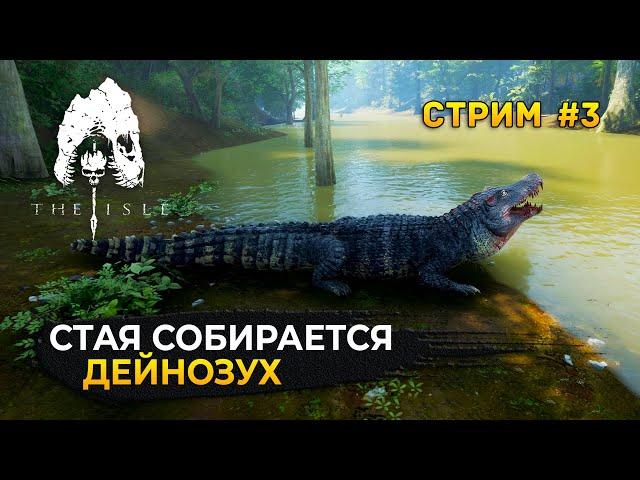 Стрим The Isle Evrima #3 - Сервер Megalodon Evrima. Стая Собирается: Дейнозух