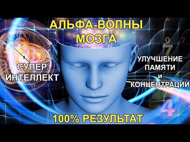 АЛЬФА ВОЛНЫ для МОЗГА: мгновенно улучшают Память и Интеллект. Медитация для головного мозга