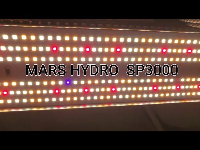 Mars Hydro SP3000 unboxing/review/strain reveal