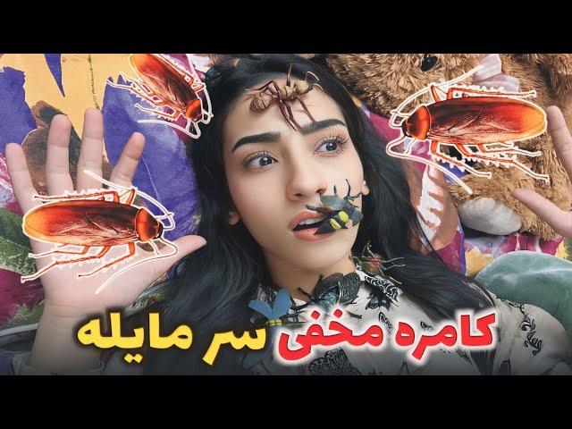 کامره مخفی سر مایلهو گریه کردن مایله از ترس زیاد