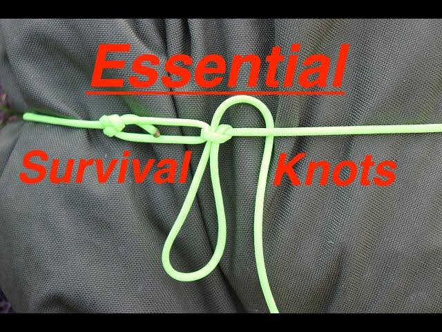 Essential Knots!