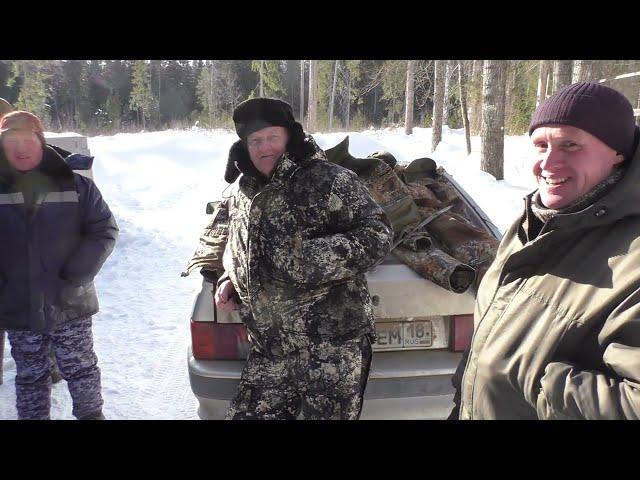 выводка, испытания Белла и Харза медведь 2 ст.  в Копках у Рябова В.А. 14.03.2021