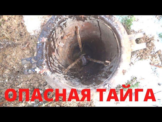 ОПАСНАЯ ТАЙГА! КАК ПОЙМАТЬ МЕДВЕДЯ УБИЙЦУ и ВОРА!