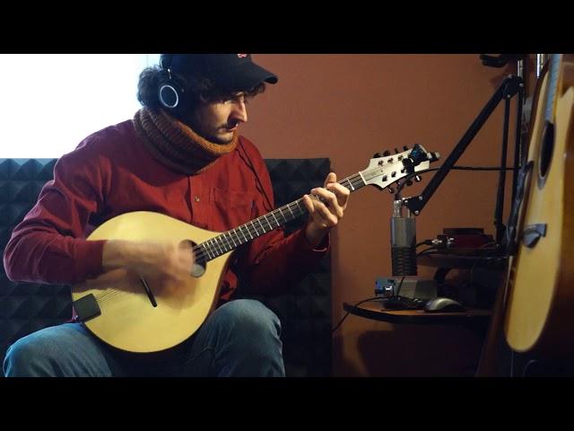 Andrea Verga _ "Donegal lass jig" _ Domeneghini Octave Mandolin