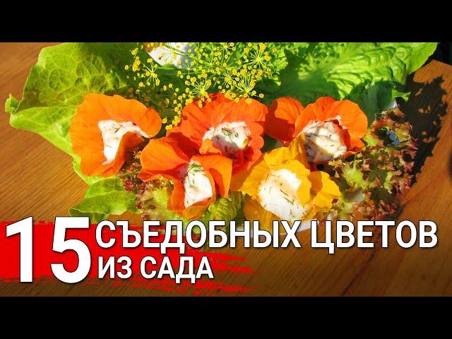 15 съедобных цветов из сада