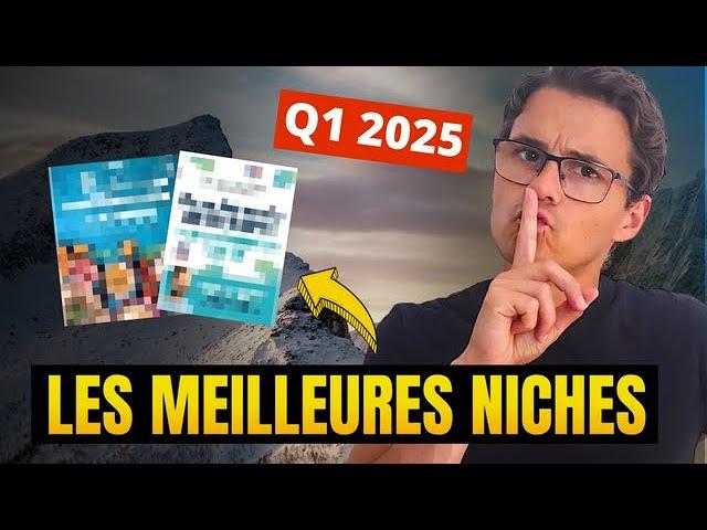 Amazon KDP : 5 Niches Incontournables pour Débuter l'Année 2025