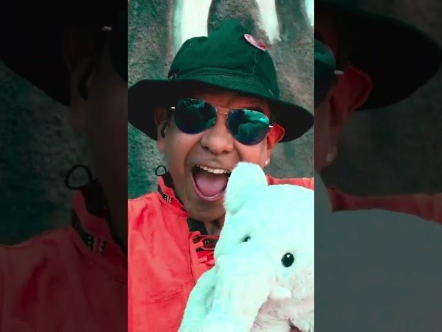 Próximamente el estreno del Video del Elefantito MeloGrabado en Nicaragua y Colombia