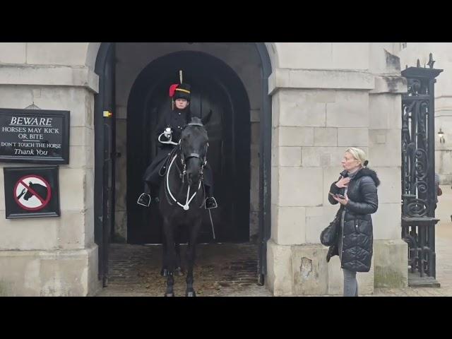 get out of the way or not. to busy on the phone, the scared seeing the horse. lots of police.