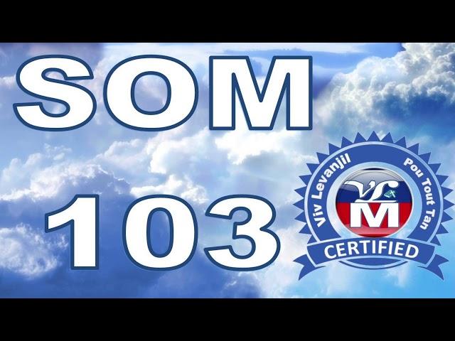 SOM 103