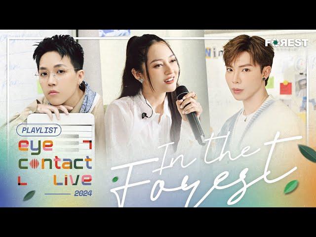  Playlist nhạc Eye Contact LIVE (In The Forest) | ERIK, Bảo Anh, Kai Đinh