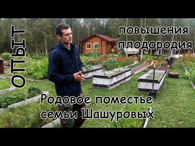 Опыт повышения плодородия почвы в Родовом Поместье семьи Шашуровых