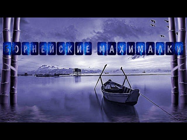 БОРНЕЙСКИЕ МАКСИМАЛКИ!"ПРОМЫСЛОВЫЕ РЫБЫ".~|рр3 2023|~