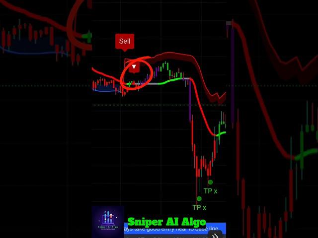 How to win every Bitcoin trade using Sniper AI Algo | Best tradingview indicator #bitcoin #crypto