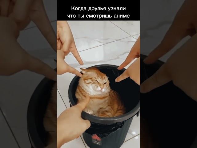 Ну а что? по факту же! #meme #мем #приколы