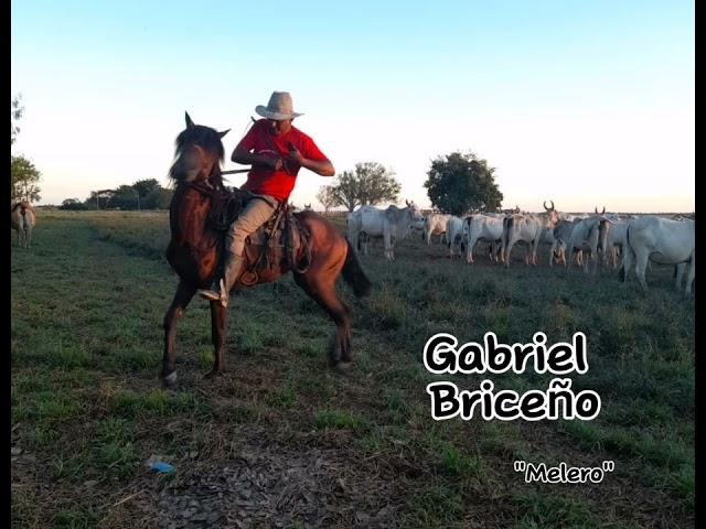 Viejo Criollo, Gabriel Briceño - "Melero"