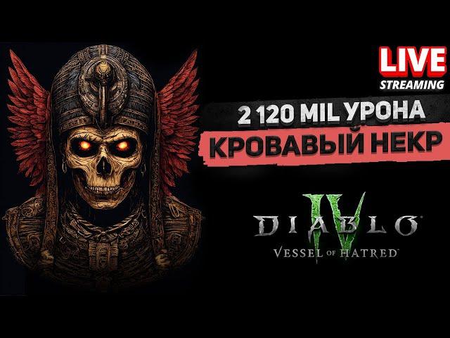 Уже 90 яма на изи 101 - сможем? Кровавый Некромант DiablO 4 - сезон 6