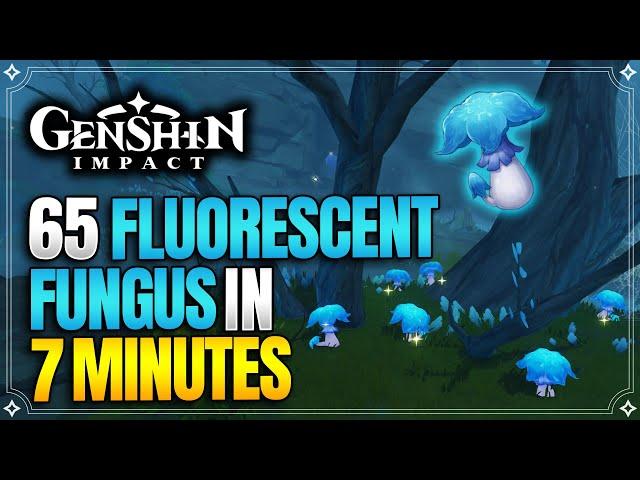 Fluorescent Fungus Locations | Fast and Efficient Route | Ascension Materials |【Genshin Impact】