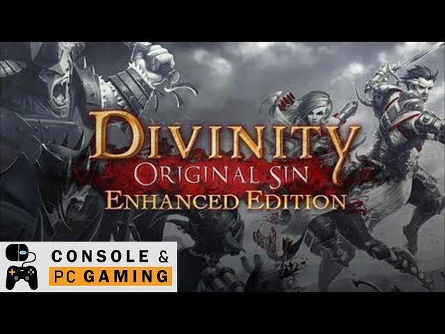 Divinity Original Sin Enhanced Edition #1