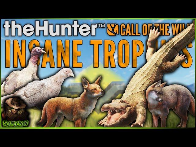 Leucistic Pheasant, Diamond Coyote, Diamond Gray Fox & Many More Diamonds & Rares! Call of the wild