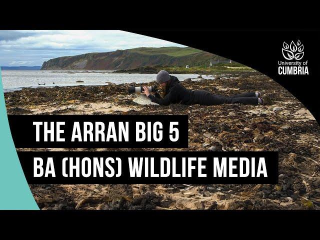 The Arran Big 5 | BA (Hons) Wildlife Media | University of Cumbria