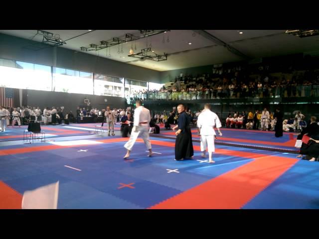 17th World Traditional Karate Championship ITKF 2014 - MOLDOVA (2)