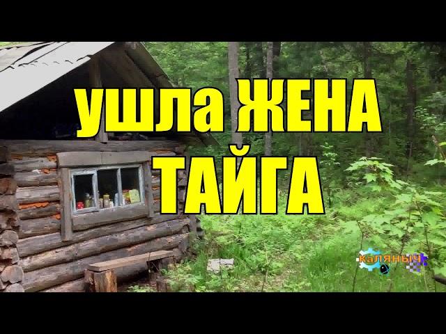 УШЛА ЖЕНА от ОХОТНИКА | ТАЙГА