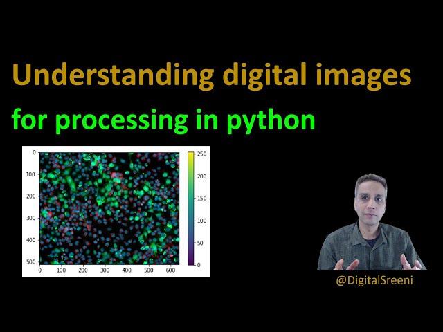 16 - Understanding digital images for Python processing