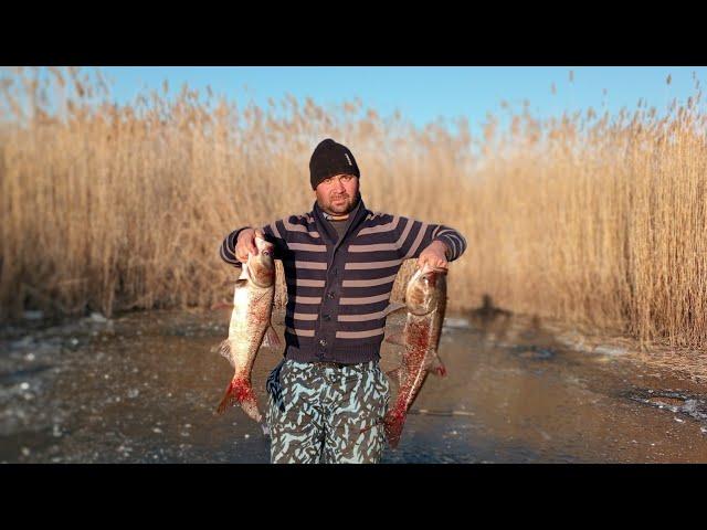 Qishda balıq  ovi. Muzda baliq  ovlash.Зимняя рыбалка#baliq #fishing #рыбалка