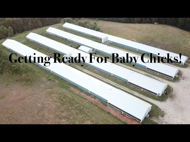 Setting Up Chicken Houses For Baby Chicks!