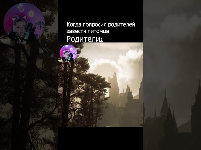 КОГДА ПОПРОСИЛ РОДИТЕЛЕЙ ЗАВЕСТИ ПИТОМЦА | Hogwarts Legacy #shorts #funny #memes