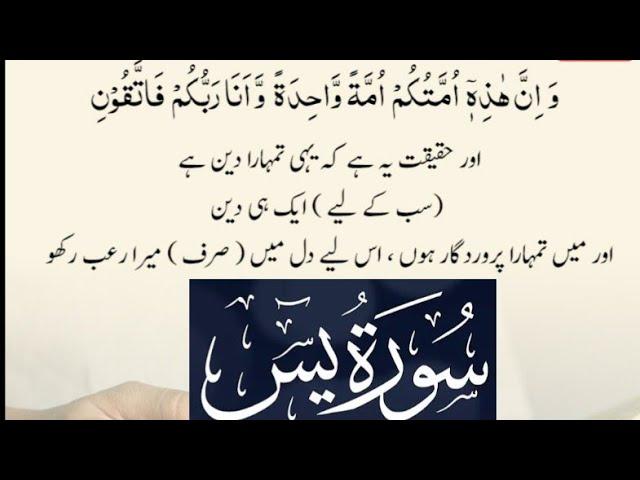 Surah Yaseen Full HD | BeautifulSurah Yasin with Urdu translation#quran #quran #tarot #islamicscri..