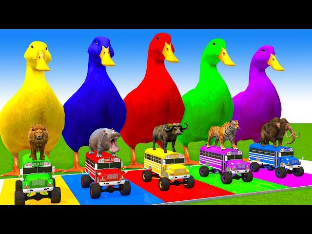 5 Giant Duck Cartoon,Cow,Mammoth,Tiger,Lion,Dinosaur,Paint Wild Animals Crossing Fountain Animation