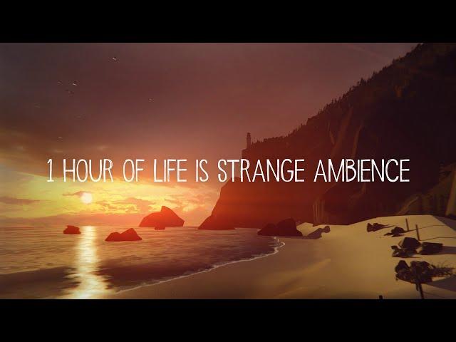1 hour of relaxing Life is Strange beach ambience