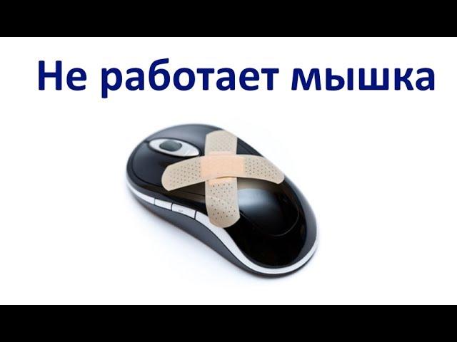 Не работает мышка на ноутбуке! Что делать?