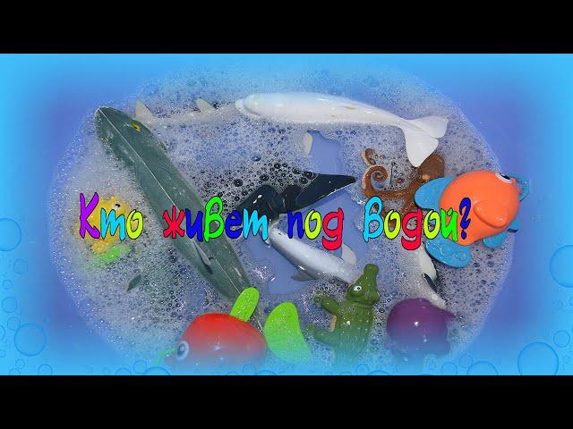 Кто живёт под водой?Учим названия ЖИВОТНЫХ.Развивающий МУЛЬТИК.